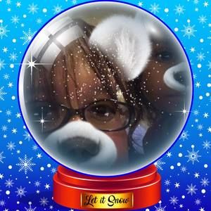 Meet your Posher, Marie